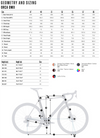 2024 Orbea Orca M10i Replica Lotto-Dstny - OMX Carbon - Shimano Dura-Ace Di2 (R701) Road Bike
