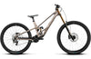 2027 Rallon D-LTD - OMR Carbon - Shimano SAINT M820 (U257)(U258) Downhill MTB